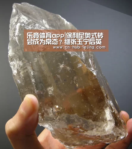乐竟体育app|保利尼奥式转会成为常态?继张玉宁后英超或再挖角中国(图2) 乐竟体育app