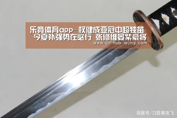 乐竟体育app-权健成亚冠中超独苗 今夏补强势在必行 张修维晏紫豪将回归助阵(图2) 乐竟官方网站