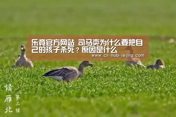 乐竟官方网站_司马奕为什么要把自己的孩子杀死?原因是什么(图1) 乐竟官方网站