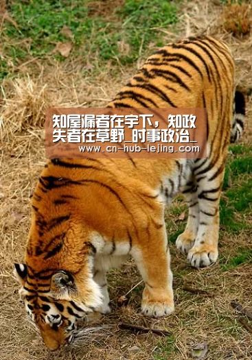 知屋漏者在宇下,知政失者在草野_时事政治_中公教育网【乐竟体育app】(图4) 乐竟官方网站